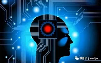 同質(zhì)化格局下，AI能否引爆智能手機(jī)行業(yè)創(chuàng)新？——人工智能應(yīng)用軟件開(kāi)發(fā)的挑戰(zhàn)與機(jī)遇